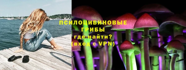 мяу мяу мука Корсаков
