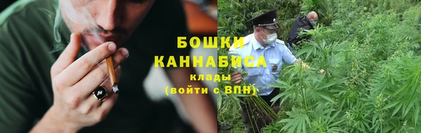 PSILOCYBIN Костерёво