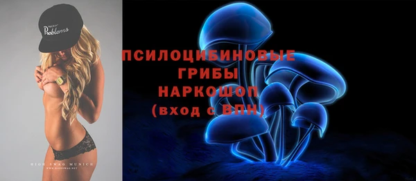 PSILOCYBIN Костерёво