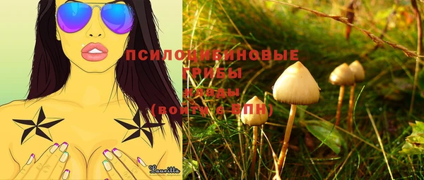 мяу мяу мука Корсаков