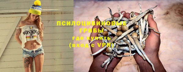 PSILOCYBIN Костерёво