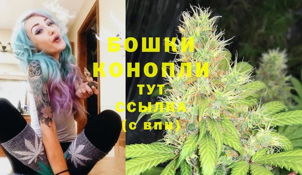мяу мяу мука Корсаков
